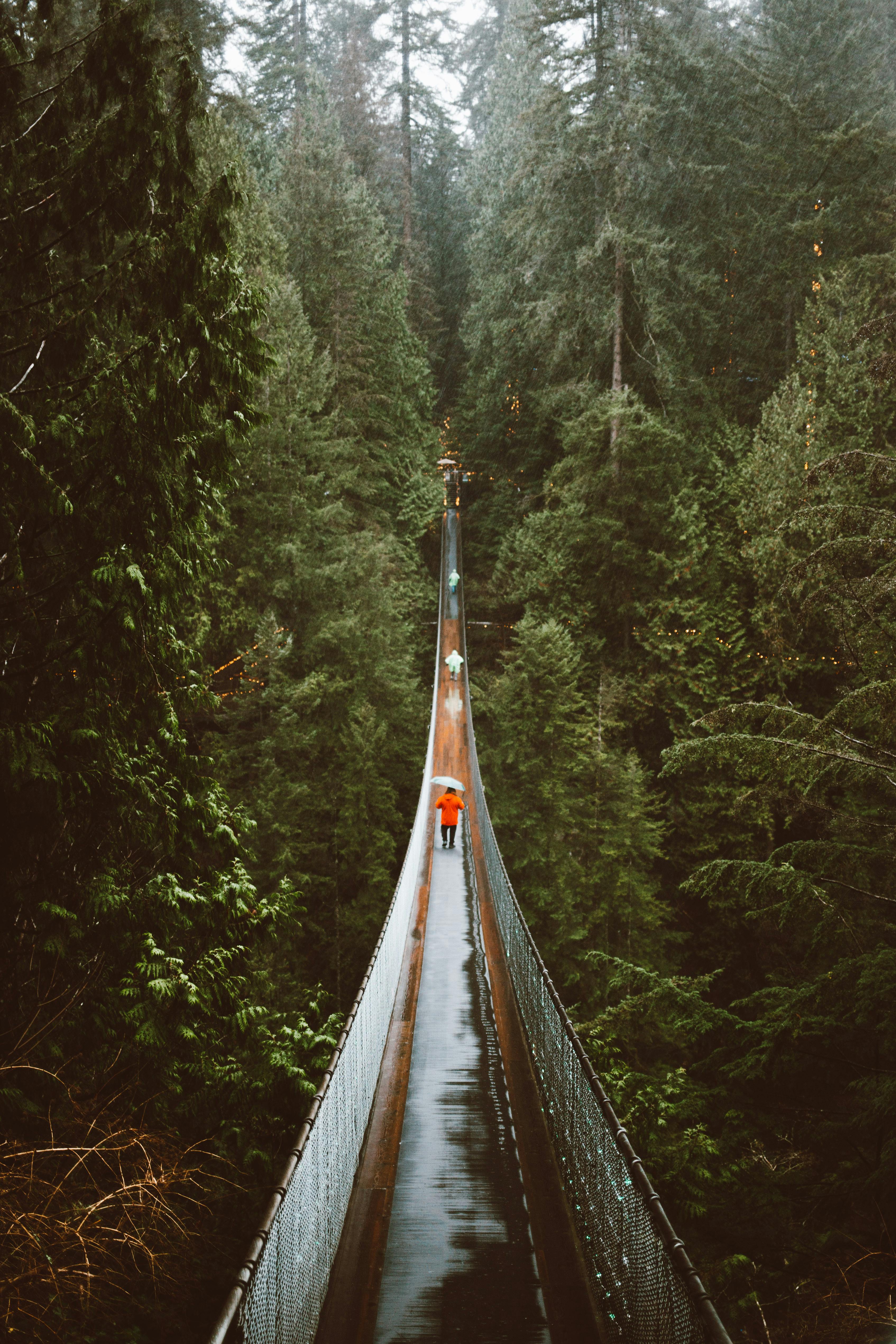 Capilano Suspension Bridge in North Vancouver